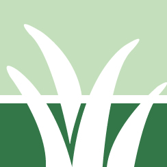 Slope Weed Control Pros