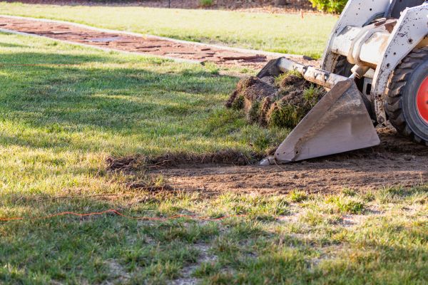 Grass Removal Service
