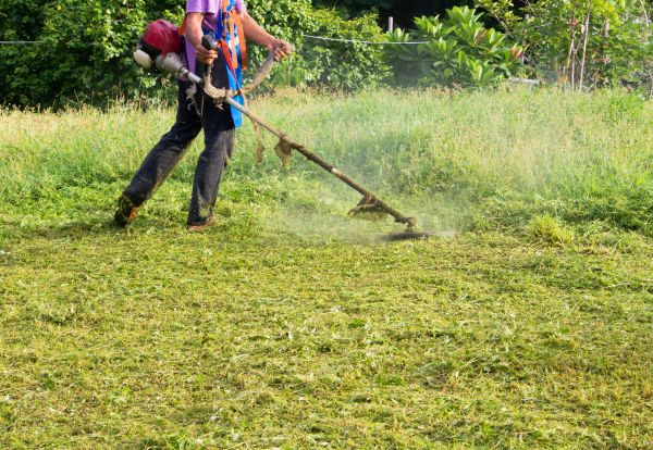 Crabgrass Prevention
