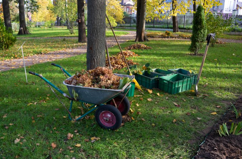Leaf Removal Equipment in Action