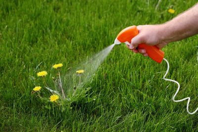 Lawn Spraying