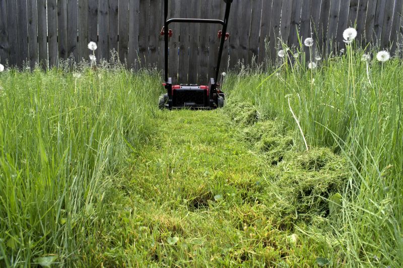 Advanced Lawn Equipment