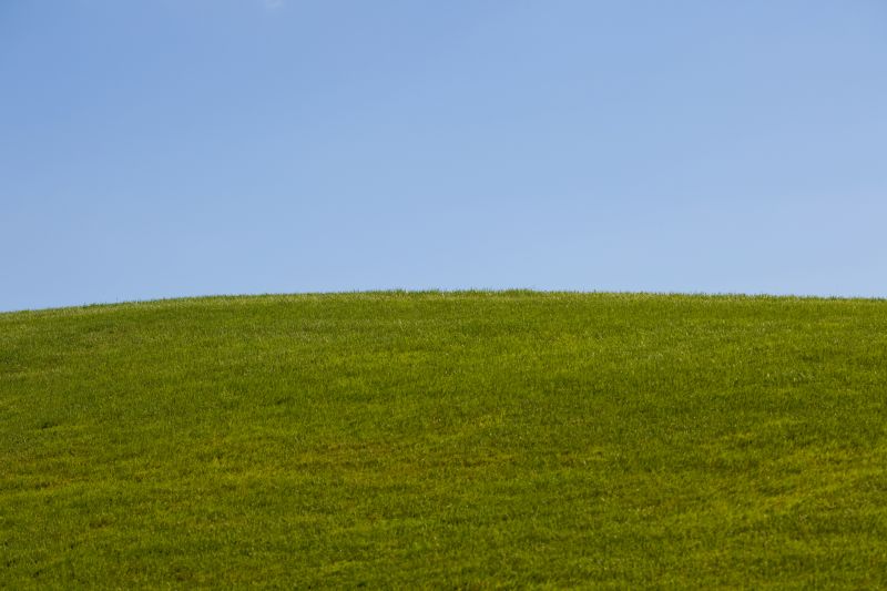 Vegetation Re-establishment